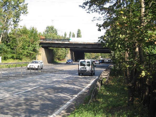 BAS 38988