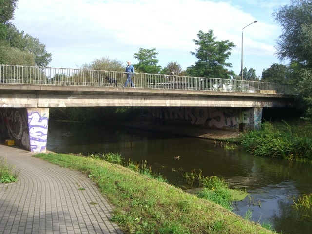 BAS 44008