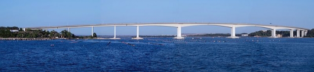 BAS 65960