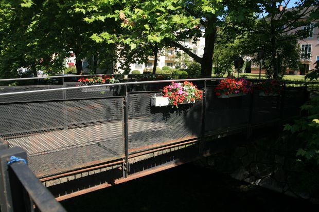 BAS 53578