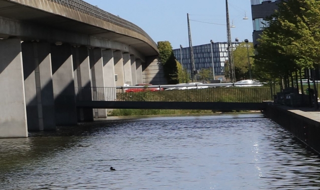 BAS 94784